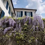 Zollhaus Penthouse Da Vinci Nahe Schweiz In Daire