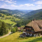 Zollhaus Penthouse Da Vinci Nahe Schweiz In * Klettgau