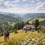 Zollhaus Penthouse Da Vinci Nahe Schweiz In