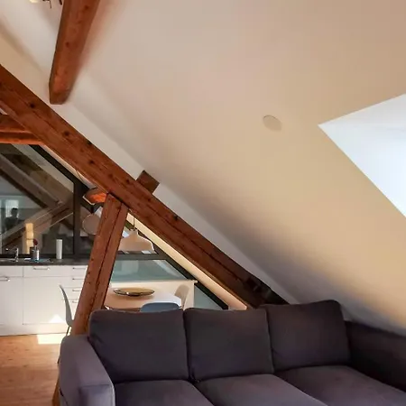 Exklusive Penthouse Wohnung, Nahe Zur Schweiz Da Vinci Klettgau