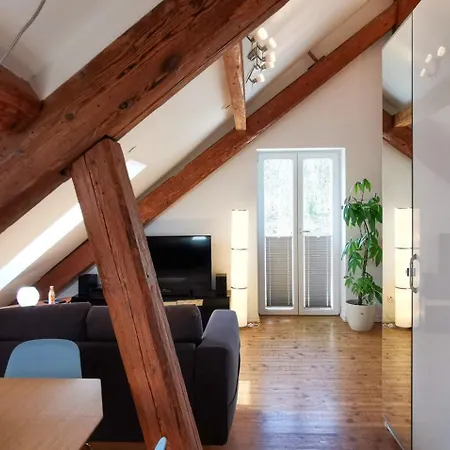 Exklusive Penthouse Wohnung, Nahe Zur Schweiz Apartment
