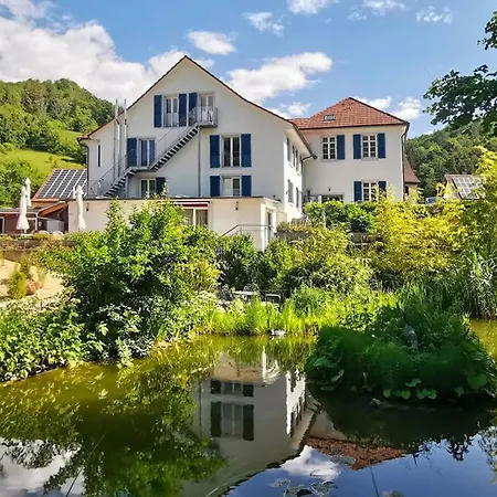 Apartment Exklusive Penthouse Wohnung, Nahe Zur Schweiz *