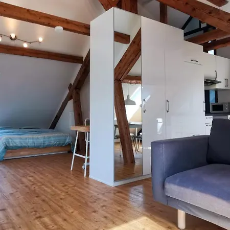 شقة Exklusive Penthouse Wohnung, Nahe Zur Schweiz Da Vinci Klettgau