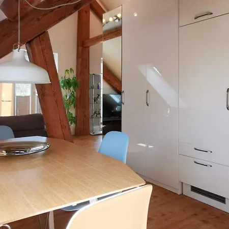 Exklusive Penthouse Wohnung, Nahe Zur Schweiz Apartment