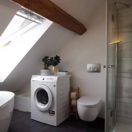 Apartment Exklusive Penthouse Wohnung, Nahe Zur Schweiz *