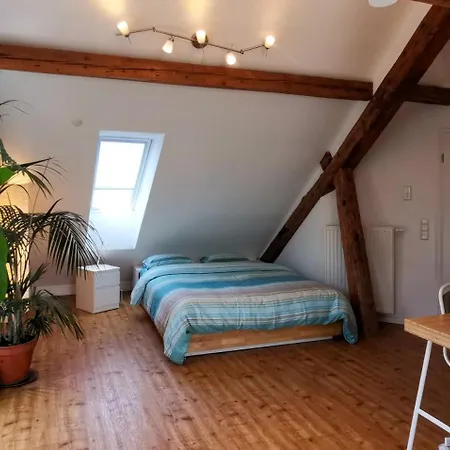 Exklusive Penthouse Wohnung, Nahe Zur Schweiz Apartment Klettgau