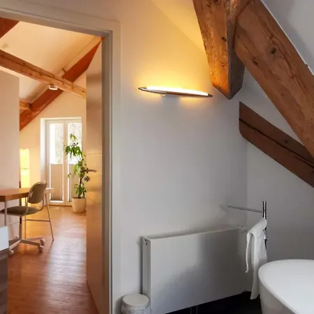 Lejlighed Exklusive Penthouse Wohnung, Nahe Zur Schweiz Da Vinci Klettgau