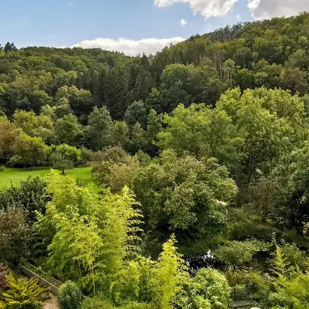 Exklusive Penthouse Wohnung, Nahe Zur Schweiz Da Vinci Lejlighed Klettgau