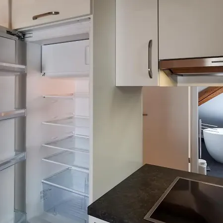 Exklusive Penthouse Wohnung, Nahe Zur Schweiz Da Vinci *