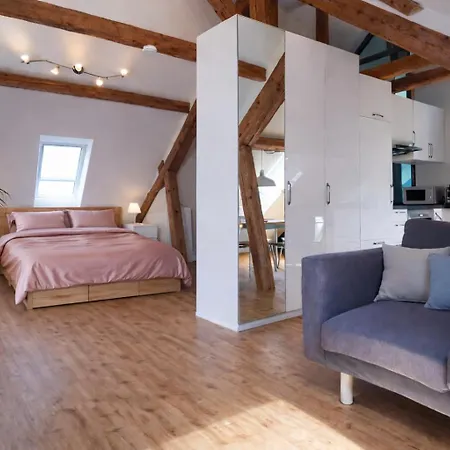 Zollhaus Penthouse Da Vinci Nahe Schweiz In *