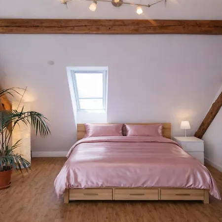 Zollhaus Penthouse Da Vinci Nahe Schweiz In *