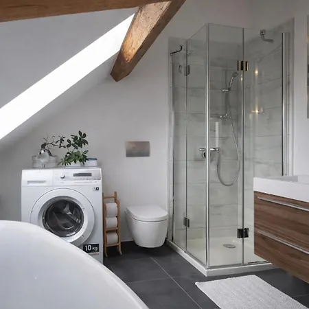 Daire Zollhaus Penthouse Da Vinci Nahe Schweiz In Klettgau