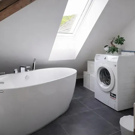 Zollhaus Penthouse Da Vinci Nahe Schweiz In Klettgau