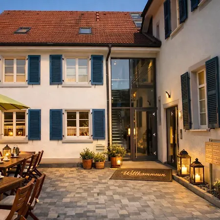 Zollhaus Penthouse Da Vinci Nahe Schweiz In