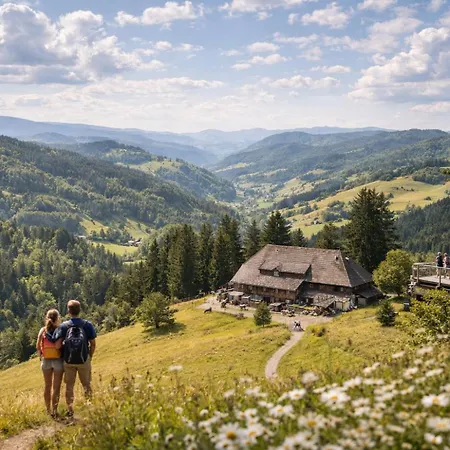 Zollhaus Penthouse Da Vinci Nahe Schweiz In