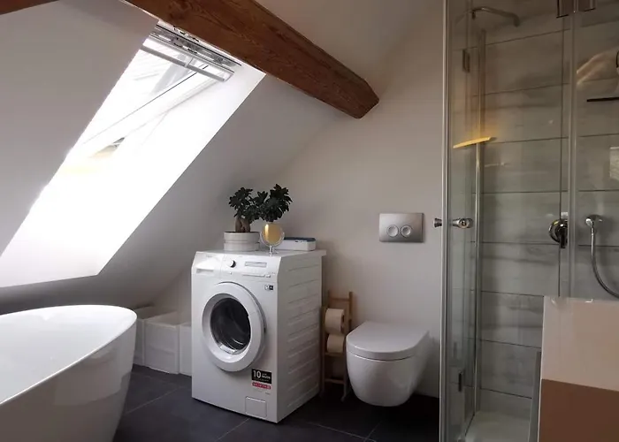 Lägenhet Exklusive Penthouse Wohnung, Nahe Zur Schweiz Da Vinci *