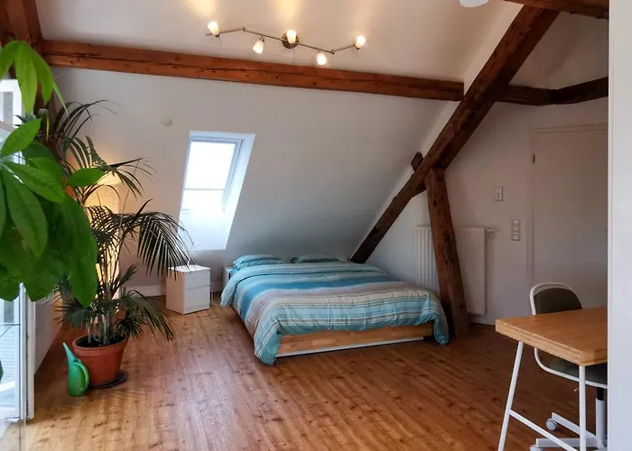 Exklusive Penthouse Wohnung, Nahe Zur Schweiz Da Vinci Lägenhet Klettgau