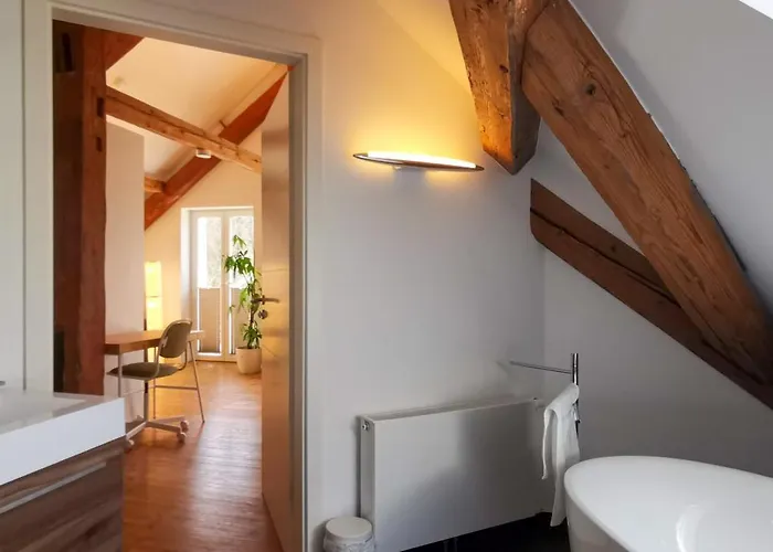 Lägenhet Exklusive Penthouse Wohnung, Nahe Zur Schweiz Da Vinci Klettgau