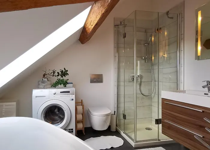 Lägenhet Exklusive Penthouse Wohnung, Nahe Zur Schweiz Da Vinci Klettgau